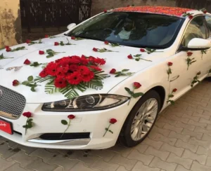 سيارات زفاف للايجار بالهرم والجيزة 2026 | احجز سيارة أحلامك