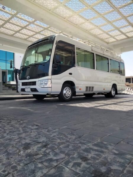 The Ultimate Guide to Egypt Intercity Limousine Booking: Travel Safely Between Governorates