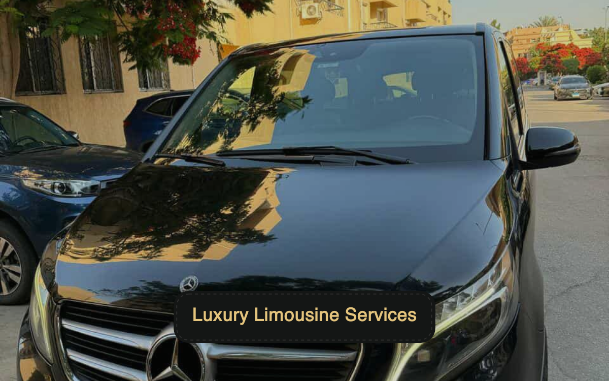 Cost Efficiency of Daily Luxury Transportation