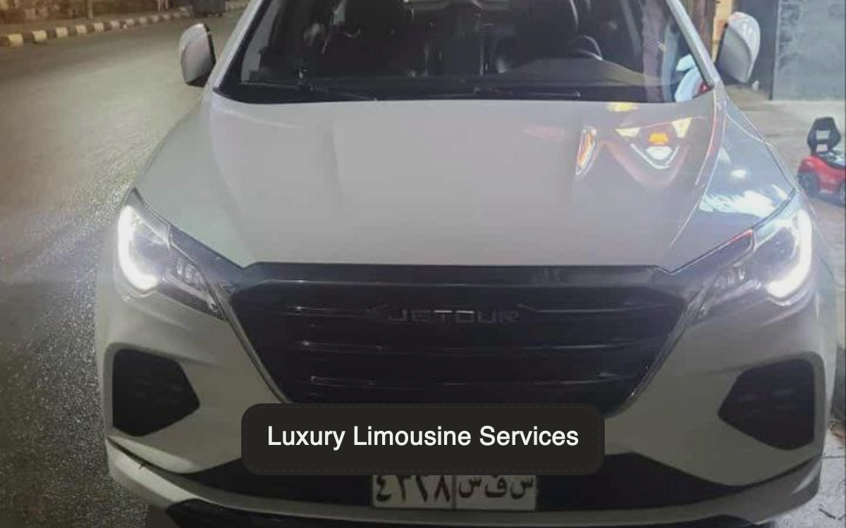 Executive Limousine Services