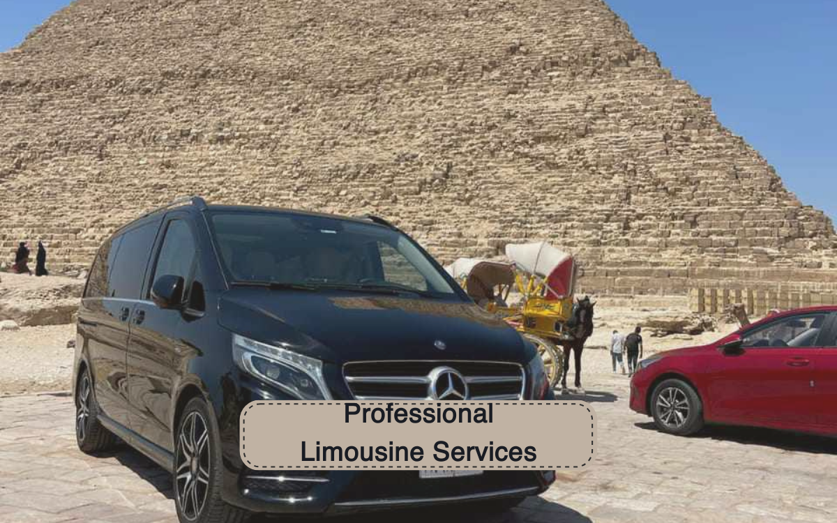 Professional Limousine Services 