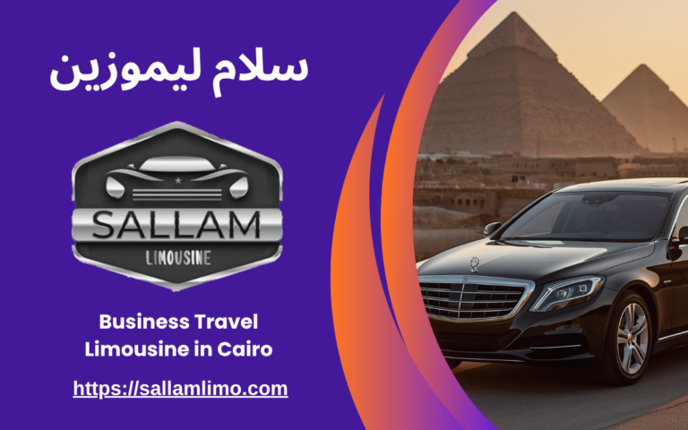 Business Travel Limousine in Cairo